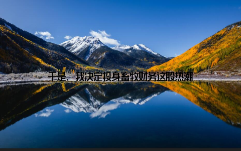 于是, 我决定投身畜牧财务这股热潮