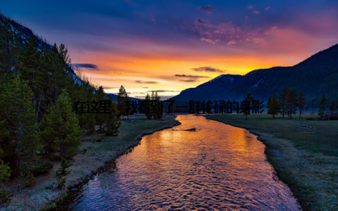 在这里, 我看到了一群忙碌的身影