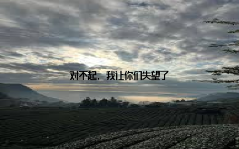 对不起, 我让你们失望了
