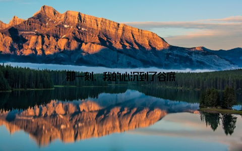 那一刻, 我的心沉到了谷底