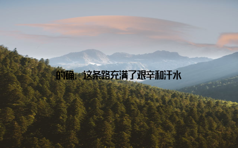 的确, 这条路充满了艰辛和汗水