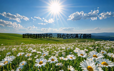 听到这样的评价, 我心中充满了喜悦