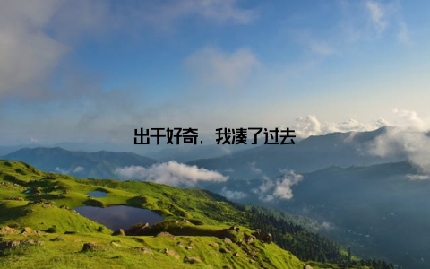 出于好奇, 我凑了过去