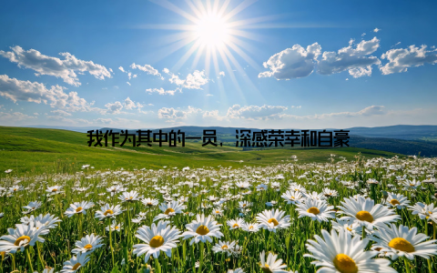 我作为其中的一员, 深感荣幸和自豪