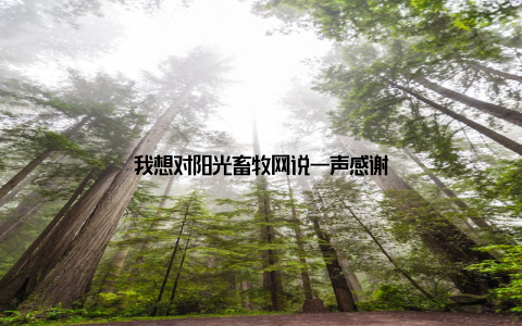 我想对阳光畜牧网说一声感谢