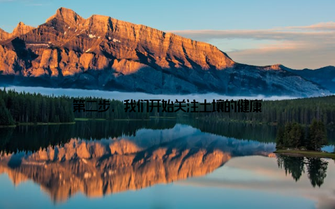 第二步, 我们开始关注土壤的健康