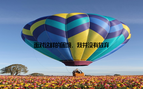 面对这样的困境, 我并没有放弃