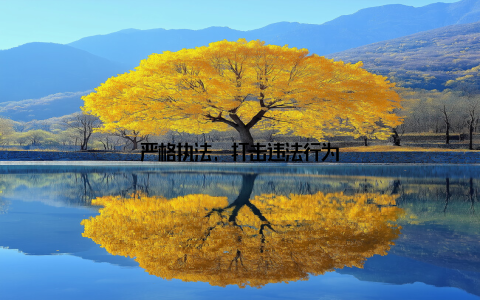 严格执法, 打击违法行为