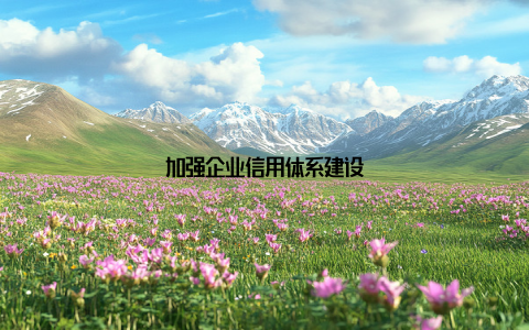 加强企业信用体系建设