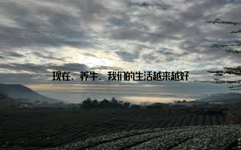 现在, 养牛, 我们的生活越来越好