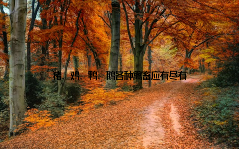 猪、鸡、鸭、鹅各种禽畜应有尽有