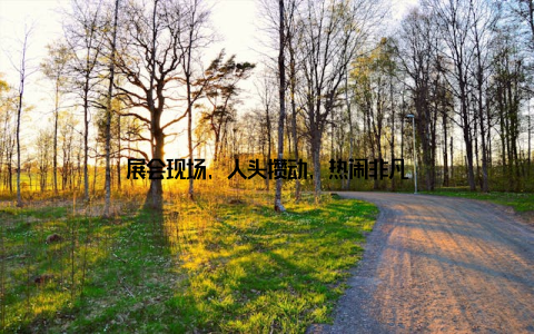 展会现场, 人头攒动, 热闹非凡