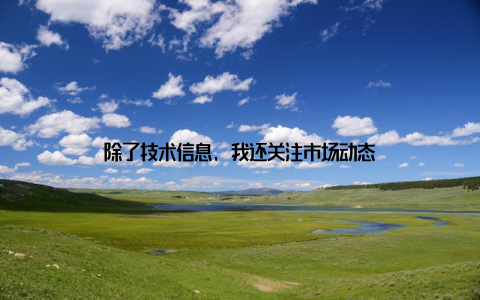 除了技术信息, 我还关注市场动态