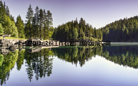 是因为这份工作有着广阔的发展空间