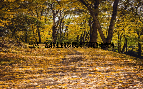 当然, 畜牧业的发展离不开政策支持