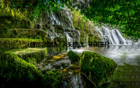 博览会现场, 人头攒动, 热闹非凡