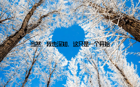 当然, 我也深知, 这只是一个开始