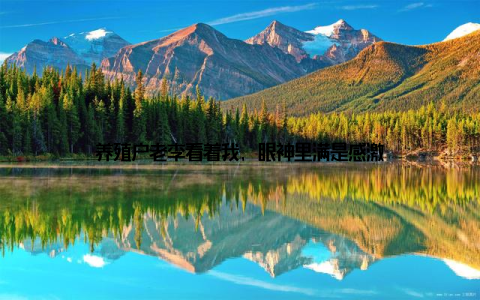 养殖户老李看着我, 眼神里满是感激