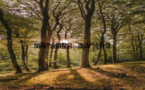 加强产业链整合, 推动产业升级