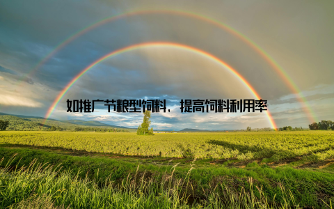 如推广节粮型饲料, 提高饲料利用率