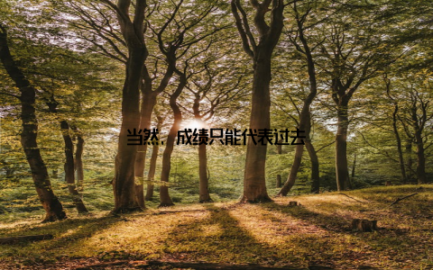 当然, 成绩只能代表过去