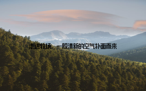 走进牧场, 一股清新的空气扑面而来