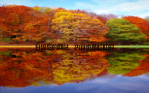 升级后的网站, 内容也是杠杠的