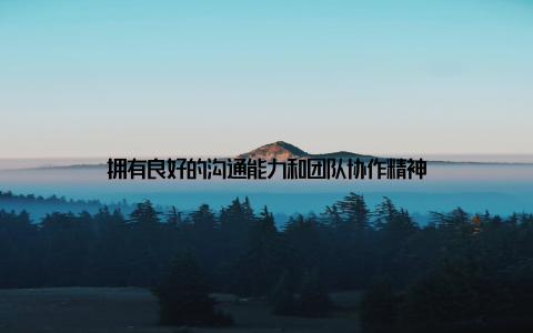 拥有良好的沟通能力和团队协作精神