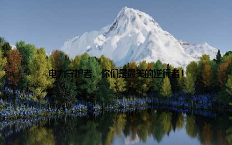 电力守护者, 你们是最美的逆行者!