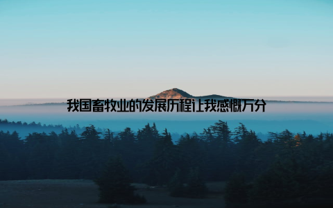 我国畜牧业的发展历程让我感慨万分