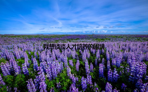 我想谈谈人才培养的困境