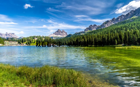 我看着老李, 心里充满了感激