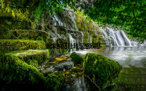 老李的话让我深感欣慰