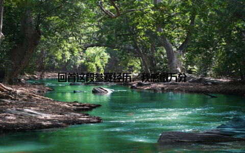 回首这段参赛经历, 我感慨万分