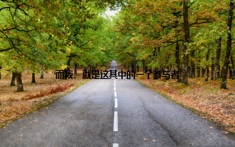 而我, 就是这其中的一个参与者