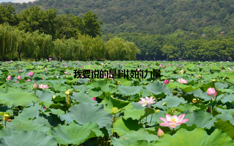 我要说的是科技的力量