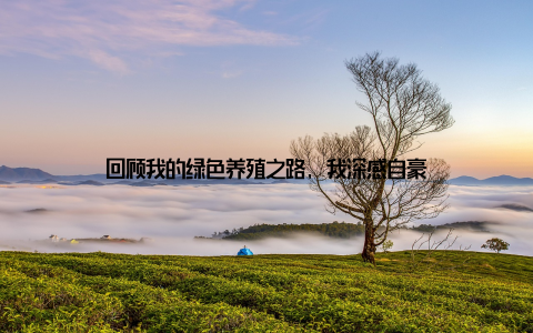 回顾我的绿色养殖之路, 我深感自豪