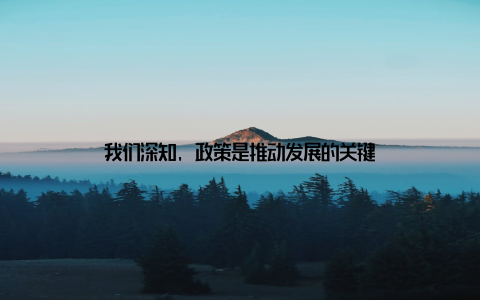 我们深知, 政策是推动发展的关键