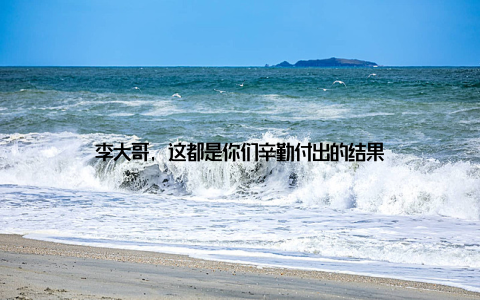 李大哥, 这都是你们辛勤付出的结果