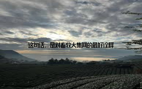 这句话, 是对畜牧大集网的最好诠释