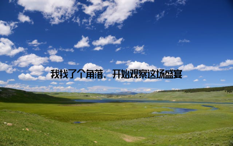 我找了个角落, 开始观察这场盛宴