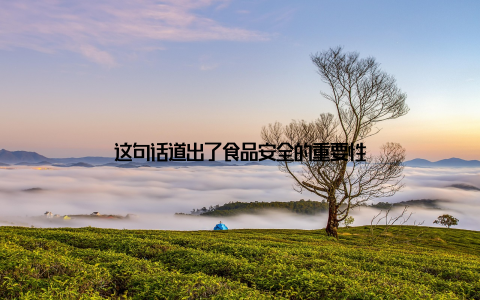 这句话道出了食品安全的重要性