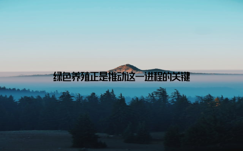 绿色养殖正是推动这一进程的关键