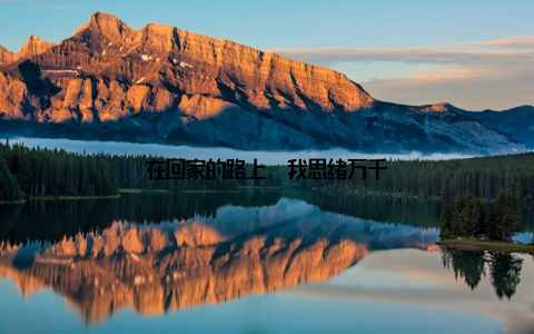 在回家的路上, 我思绪万千