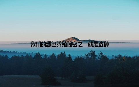 我们的绿色养殖秘密之一就是选种