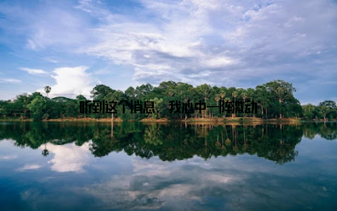 听到这个消息, 我心中一阵激动