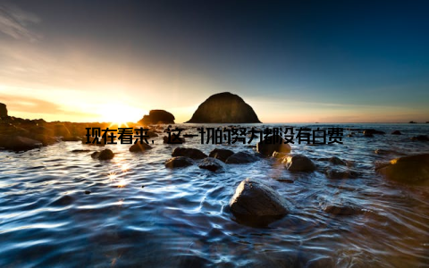 现在看来, 这一切的努力都没有白费