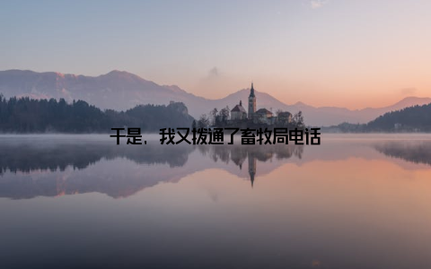 于是, 我又拨通了畜牧局电话