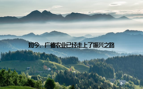 如今, 广德农业已经走上了振兴之路