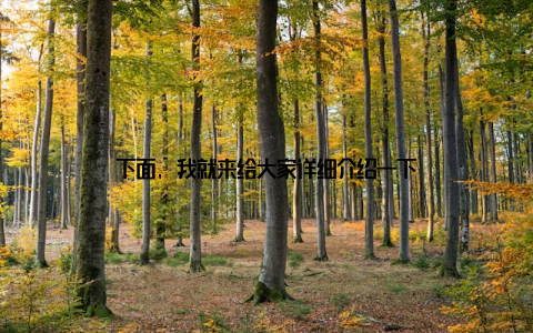 下面, 我就来给大家详细介绍一下